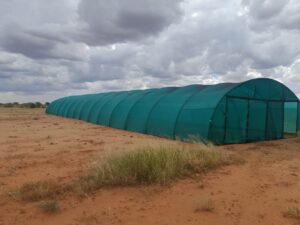 Greenhouse in April 2024
